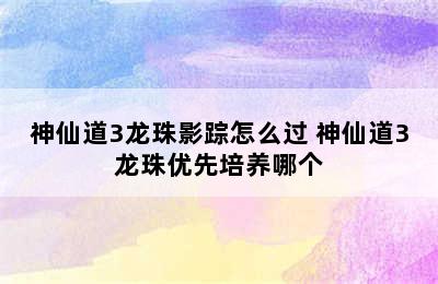 神仙道3龙珠影踪怎么过 神仙道3龙珠优先培养哪个